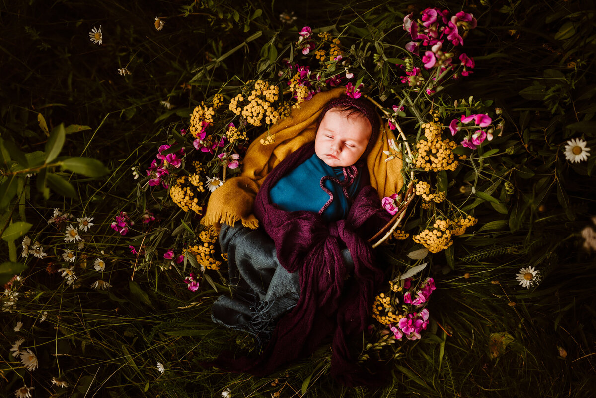 lyla_newborn photography session - amie roussel photography carousel studios