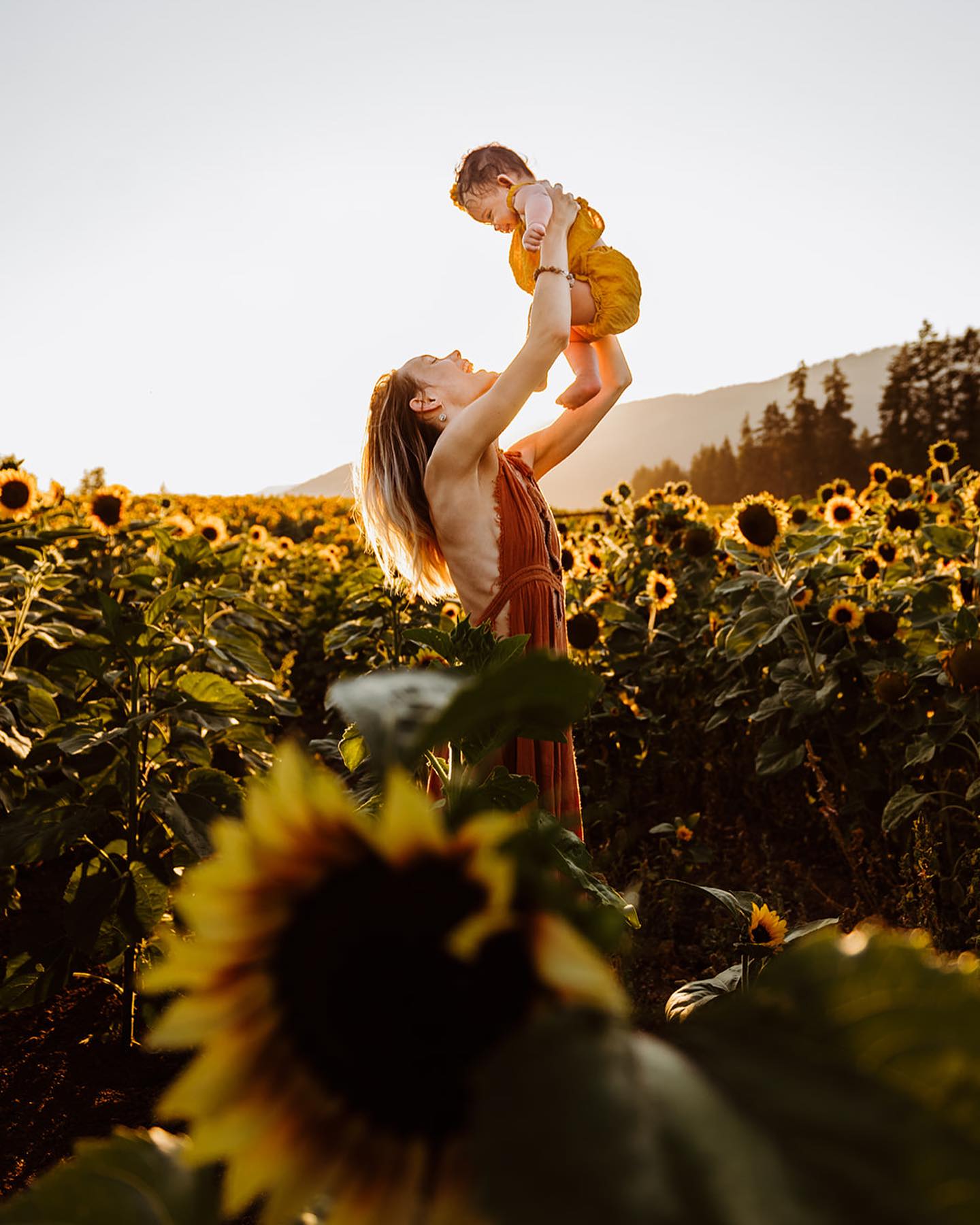 sunflower festival in armstrong bc - amie roussel photography